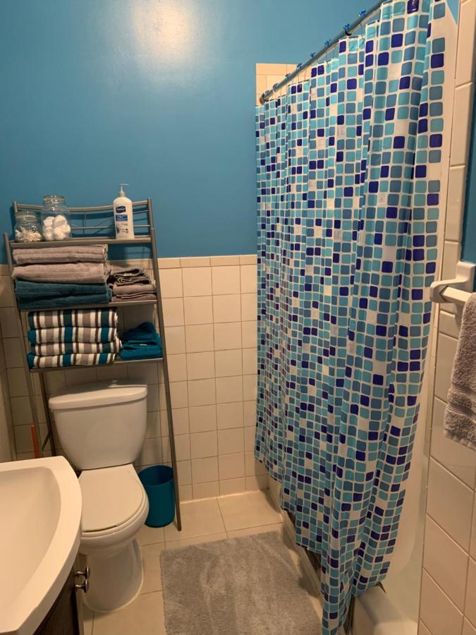 Stuyvesant Heights Loft Apartment New York Bagian luar foto